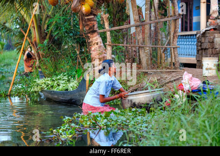 Una donna facendo servizio lavanderia in Alappuzha, lagune, Kerala, India del Sud, Asia Foto Stock