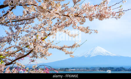 Fujisan vista dal lago Kawaguchiko, Giappone Foto Stock