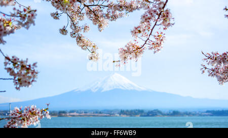 Fujisan vista dal lago Kawaguchiko, Giappone Foto Stock