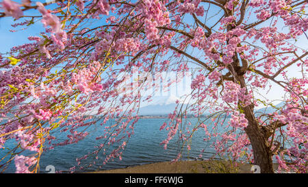 Fujisan vista dal lago Kawaguchiko, Giappone Foto Stock