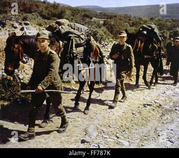 Eventi, seconda guerra mondiale / seconda guerra mondiale, Wehrmacht tedesco, truppe di montagna con cavalli, circa 1941, diritti aggiuntivi-clearences-non disponibile Foto Stock