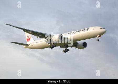 Japan Airlines Boeing 777-300ER JA736J avvicinando l'Aeroporto Heathrow di Londra, Regno Unito Foto Stock