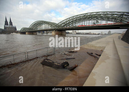 Colonia, Germania. Xi Febbraio, 2016. Il legno deriva nuota il diluvio passi lungo gli argini del fiume Reno con alta marea a Colonia, Germania, 11 febbraio 2016. Il livello delle acque del Reno ha raggiunto 6, 6 m. Le autorità locali hanno risposto con la limitazione di spedizione acqua e il traffico sul fiume. Foto: Oliver Berg/dpa/Alamy Live News Foto Stock