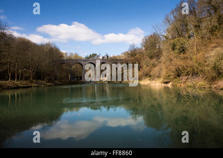 Una vista del paesaggio di sistemare il viadotto di mulino situato tra Monkton Combe e Midford, Near Bath Somerset, Inghilterra, Regno Unito il 6 aprile 2013. Il viadotto era parte del Somerset e Dorset unire ferroviarie, che sono state abbandonate dal 1966. Esso è accessibile a piedi o in ciclo sul restaurato due tunnel Greenway. L'acqua qui sotto è una piccola attività di pesca per persone disabili. Foto Stock