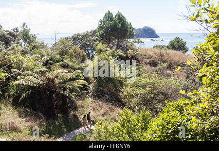 A Cove della cattedrale, Penisola di Coromandel,l'isola nord,Nuova Zelanda,NZ,Pacifico. Foto Stock