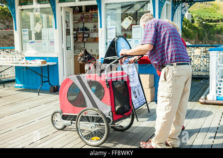 Coppia di anziani con il cane seduto sulla cima di un dogie pram l uomo e la donna sono in cerca di un cartellone. Landudno pier Galles Foto Stock