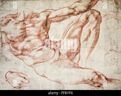 Michelangelo lo studio per Adamo nella creazione di Adamo Foto Stock