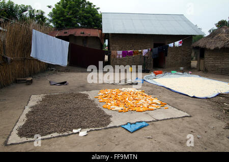 Kiwanja , Rutshuru Nord Kivu, nella Repubblica democratica del Congo, LA REPUBBLICA DEMOCRATICA DEL CONGO,Africa centrale Foto Stock