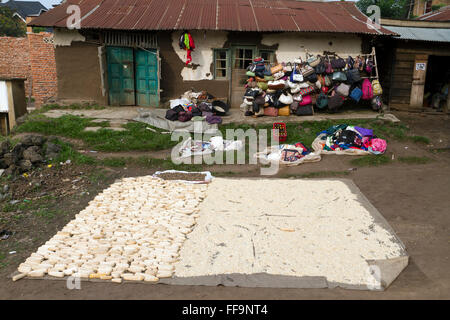 Kiwanja , Rutshuru Nord Kivu, nella Repubblica democratica del Congo, LA REPUBBLICA DEMOCRATICA DEL CONGO,Africa centrale Foto Stock