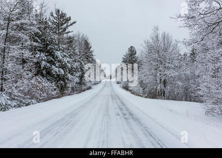 Coperte di neve strada rurale che conduce attraverso la foresta vicino Stanwood nel centro di Michigan, Stati Uniti d'America Foto Stock