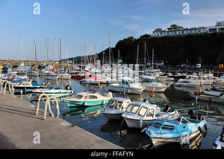 Barche e yacht in Saundersfoot Marina Pembrokeshire Foto Stock