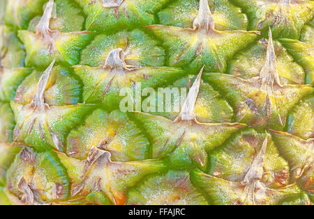 Chiudere l immagine di un ananas fresco della pelle. Foto Stock