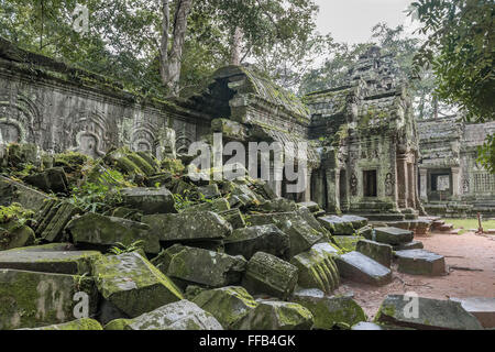 Porta Est di Ta Prohm Tempio dal cortile, Angkor Thom, Siem Reap, Cambogia Foto Stock