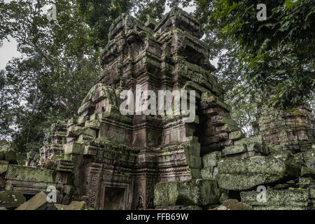 La torre centrale, cortile interno, Ta Prohm tempio di Angkor Thom, Siem Reap, Cambogia Foto Stock