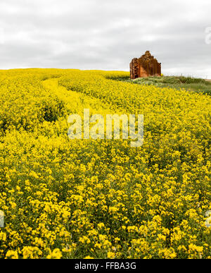 Vecchia fattoria abbandonata in Australia vicino a Renmark Foto Stock