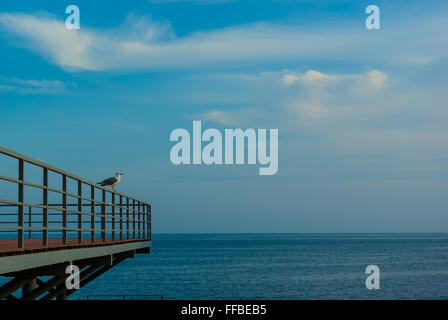 Seagull seduto sulla ringhiera sulla spiaggia al tramonto, la Crimea Foto Stock