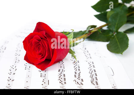 Rose e fogli di musica con note su sfondo bianco Foto Stock