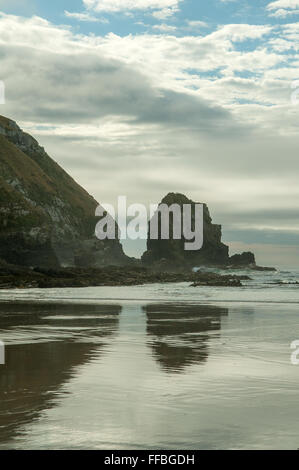 Cannibal Bay, il Catlins, Sud Otago, Nuova Zelanda Foto Stock