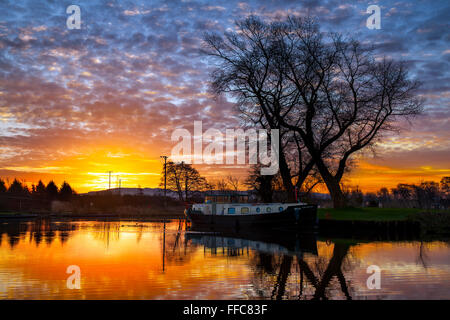 Rufford, Burscough, Preston, Lancashire, Regno Unito 12 Febbraio, 2016. Regno Unito Meteo. Molla sulla sua strada! Una fredda ma colorate per iniziare la giornata per houseboats residenti presso il St Mary's Marina, sul Leeds Liverpool canal, il risveglio di un cielo mackeral e una gloriosa sunrise. Cielo Sgombro Sgombro, sky - mai a lungo bagnato, mai a lungo a secco. Credito: Mar fotografico/Alamy Live News Foto Stock