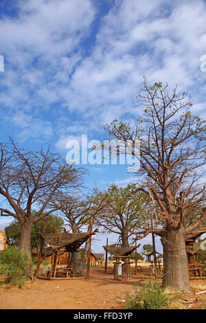 Area di sosta in Mapungubwe NP, Sud Africa Foto Stock