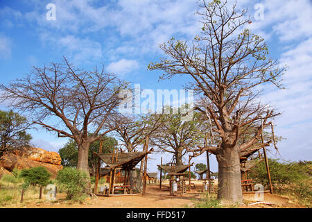 Area di sosta in Mapungubwe NP, Sud Africa Foto Stock