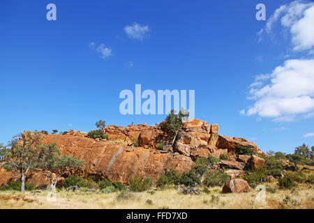 Paesaggio di Mapungubwe National Park, Sud Africa Foto Stock