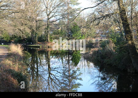 Basingstoke Canal vicino a Brookwood, Woking, Surrey. Foto Stock