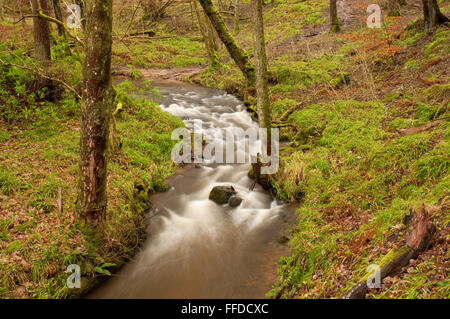 Il Fairy Glen Stream Foto Stock