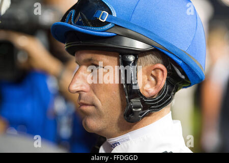 Meydan, 11 febbraio, 2016. Pat Dobbs gite sul fiume polare per win UAE 1000 Guinea per istruttore Doug Watson a Meydan in Dubai World Cup Carnival Credit: Tom Morgan/Alamy Live News Foto Stock