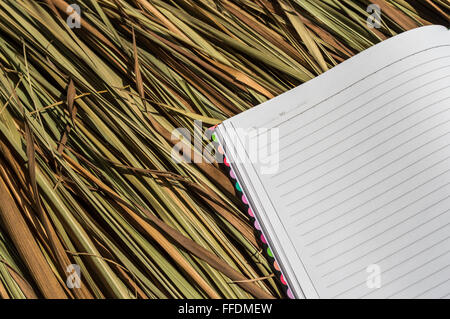 Notebook Foto Stock