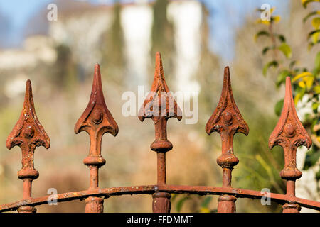 Vecchio recinto metallico e arrugginito in ferro battuto, il fuoco selettivo bokeh di fondo Foto Stock