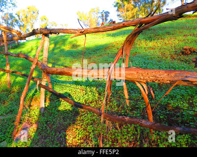 Rustico rurale scherma sul campo collinare vicino a Alora, Andalusia Foto Stock