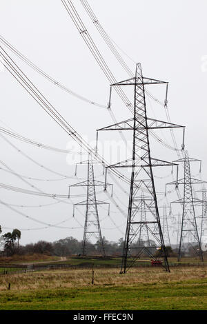 Tralicci elettrici nel Suffolk Sandlings Foto Stock