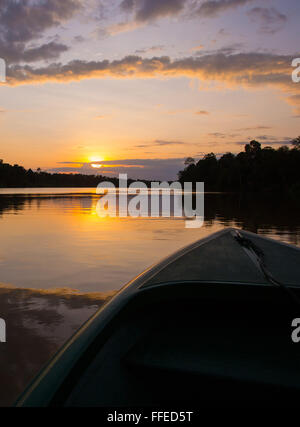 Una barca al tramonto sul fiume Kinabatangan, Sabah, Malaysia Foto Stock