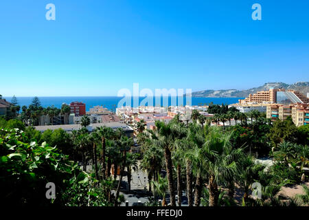 Vista verso il mare con palme da sopra i Giardini Botanici di El Majuelo. Almuñécar, Provincia di Granada, cosa Tropical, Andalusia. Spagna Foto Stock