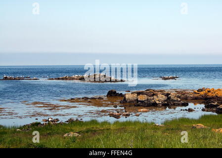 Rocce sul mar Baltico a Bornholm. Danimarca Foto Stock