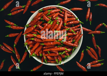 Peperone rosso in vaso su sfondo nero. Foto Stock