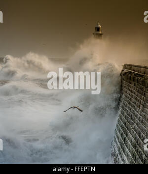 Seagull volare sopra le onde con un molo in background, seagull , pier , onde che si infrangono su un molo, mare volo degli uccelli Foto Stock