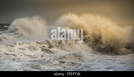Onde tempestose, onda mare, mare tempestoso, enorme ondata, schiantarsi wave, potente onda. cavalli bianchi su un onda. Oceano, tempesta. Foto Stock