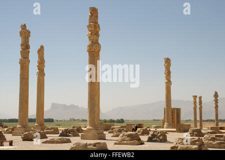 Palazzo Apadana a Persepoli, Iran Foto Stock