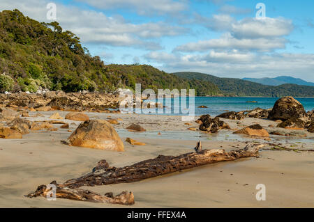 Lee Bay Beach l'isola di Stewart, Nuova Zelanda Foto Stock