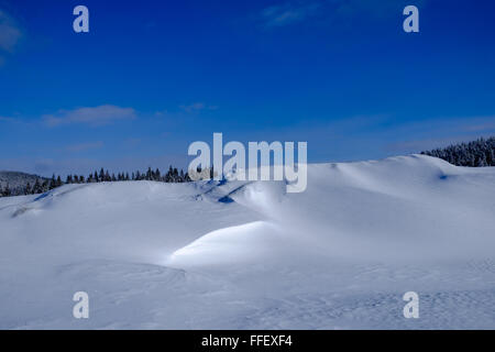 Dune di neve, luci e ombre, inverno, cielo blu, il paesaggio. Calma e tranquilla, ancora scena. Foto Stock