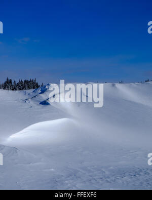 Dune di neve, luci e ombre, inverno, cielo blu, il paesaggio. Calma e tranquilla, ancora scena. Foto Stock