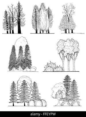 Una serie di sagome ad albero , per architettonici o landscape design Illustrazione Vettoriale