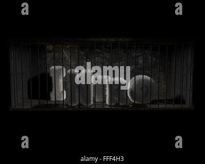 Un soffice word (intro) con i capelli bianchi dietro le sbarre con sfondo nero. Foto Stock