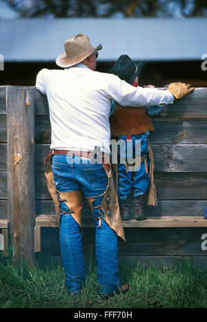 Bovini roundup, castrazione e branding su un ranch in Belle Fourche, South Dakota. Foto Stock