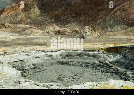 Il fango fumarola, Isola Bianca Vulcano, Baia di Planty, Nuova Zelanda Foto Stock