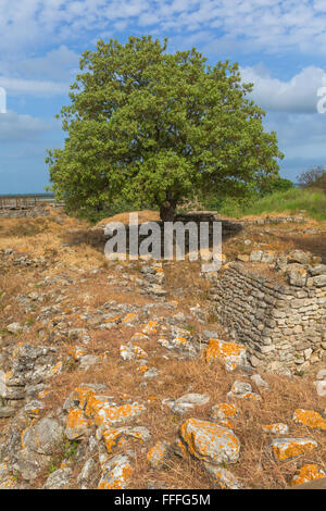 Rovine di antiche Troy, Canakkale Provincia, Turchia Foto Stock