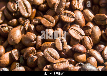 Chicchi di caffè Foto Stock