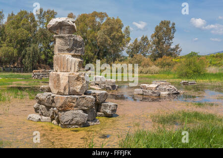 Rovine del tempio di Artemide, Efeso, Selcuk, provincia di Izmir, Turchia Foto Stock